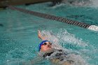 Swim vs Bentley  Wheaton College Swimming & Diving vs Bentley University. - Photo by Keith Nordstrom : Wheaton, Swimming & Diving